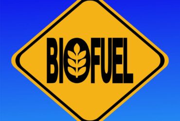 Biofuel
