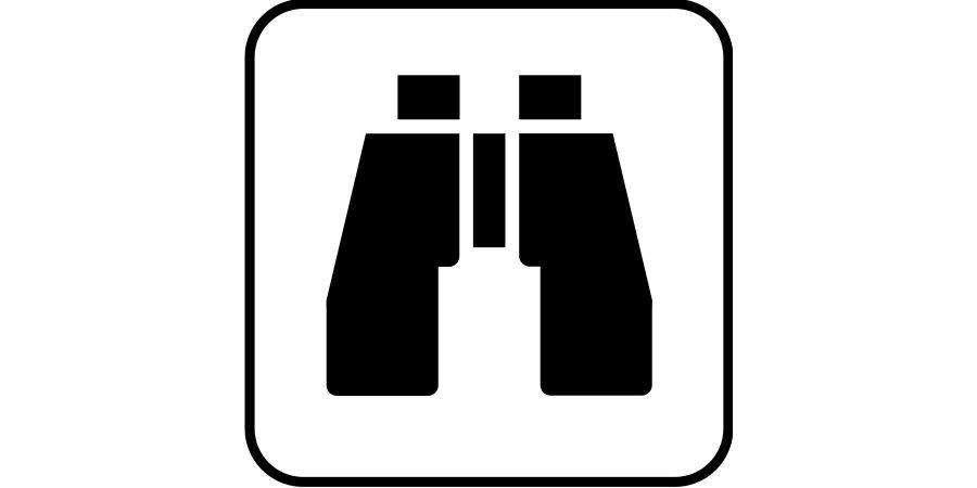 Spy 01