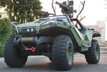 Warthog