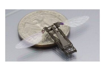 Robobee 01