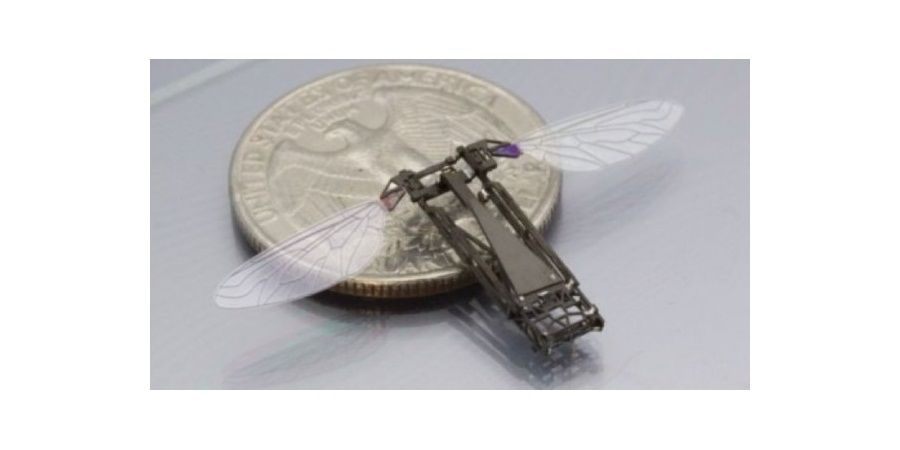 Robobee 01