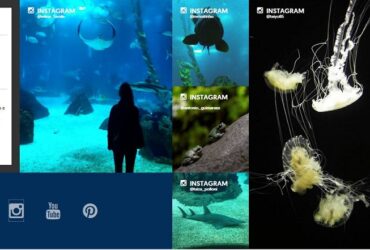 Oceanário de Lisboa aposta nas redes sociais