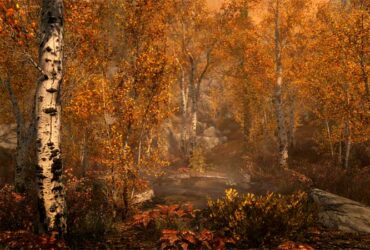 game-forest-4k-new