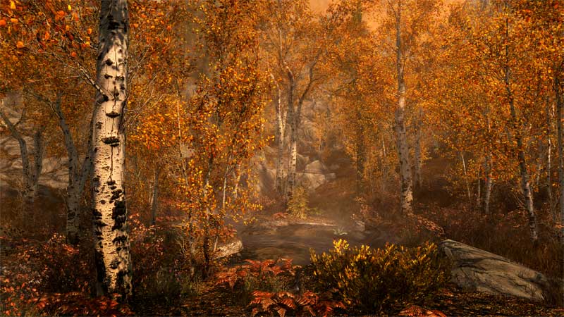 game-forest-4k-new