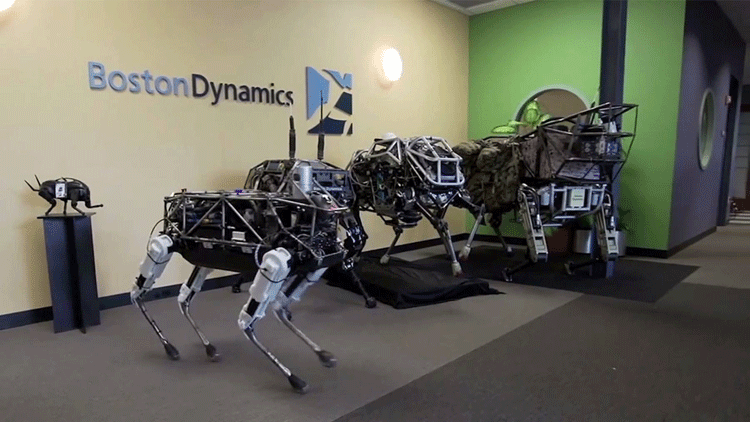 Boston-Dynamics-Robots