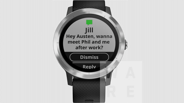 Vivoactive-3