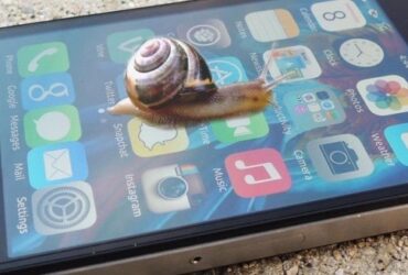 Apple Caracol