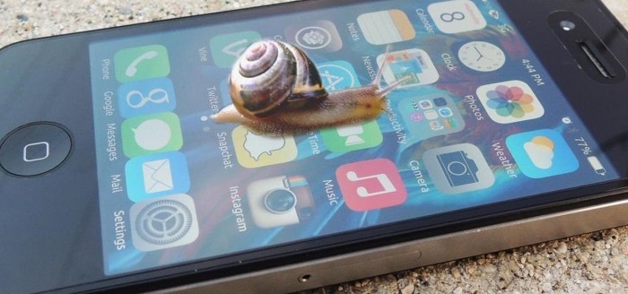 Apple Caracol