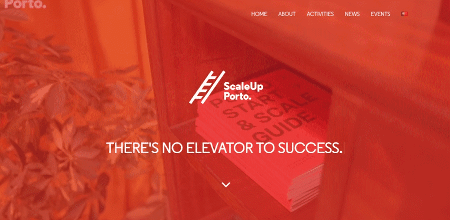 ScaleUp Porto New