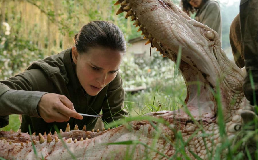 Annihilation filmes descarregados