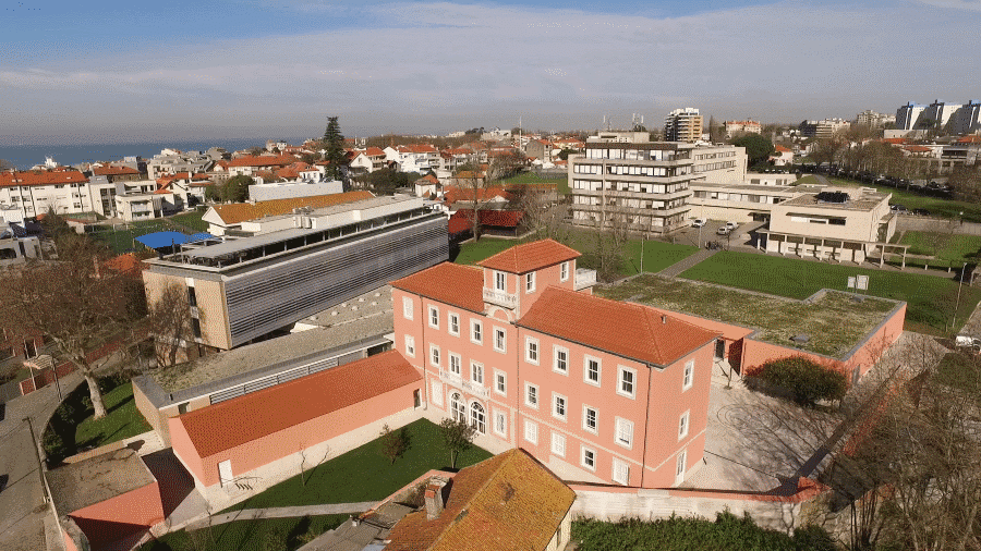 Católica Porto New