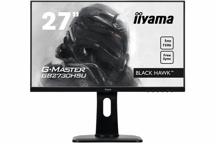 Iiyama G-Master Black Hawk