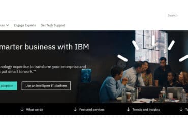 IBM Services