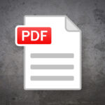 PDF New