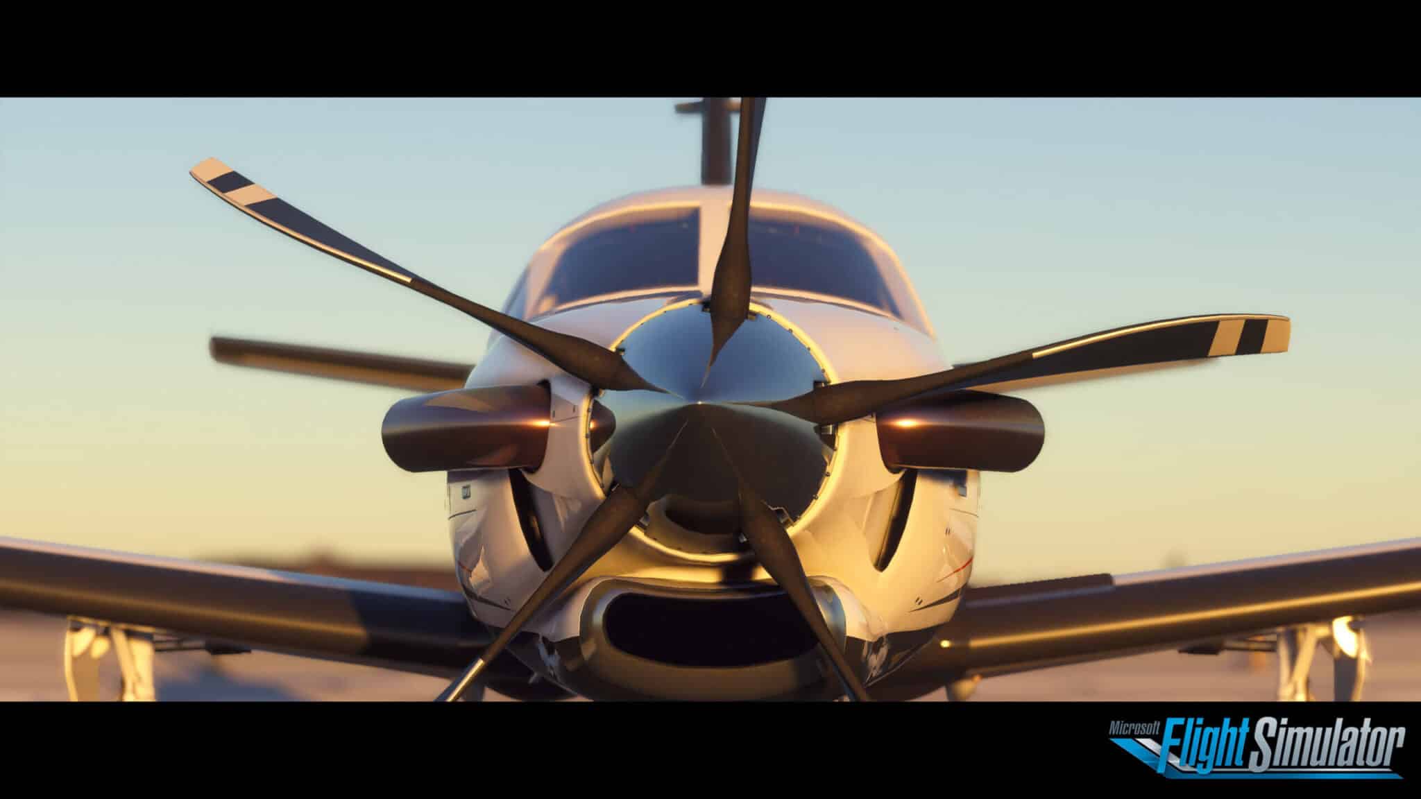 Microsoft Flight Simulator 2020 Requisitos Minimos/ Ideales 