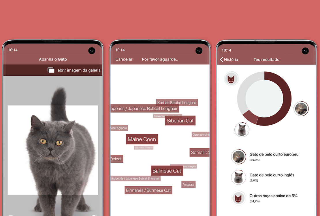 Verdadeiro gato falando – Apps no Google Play