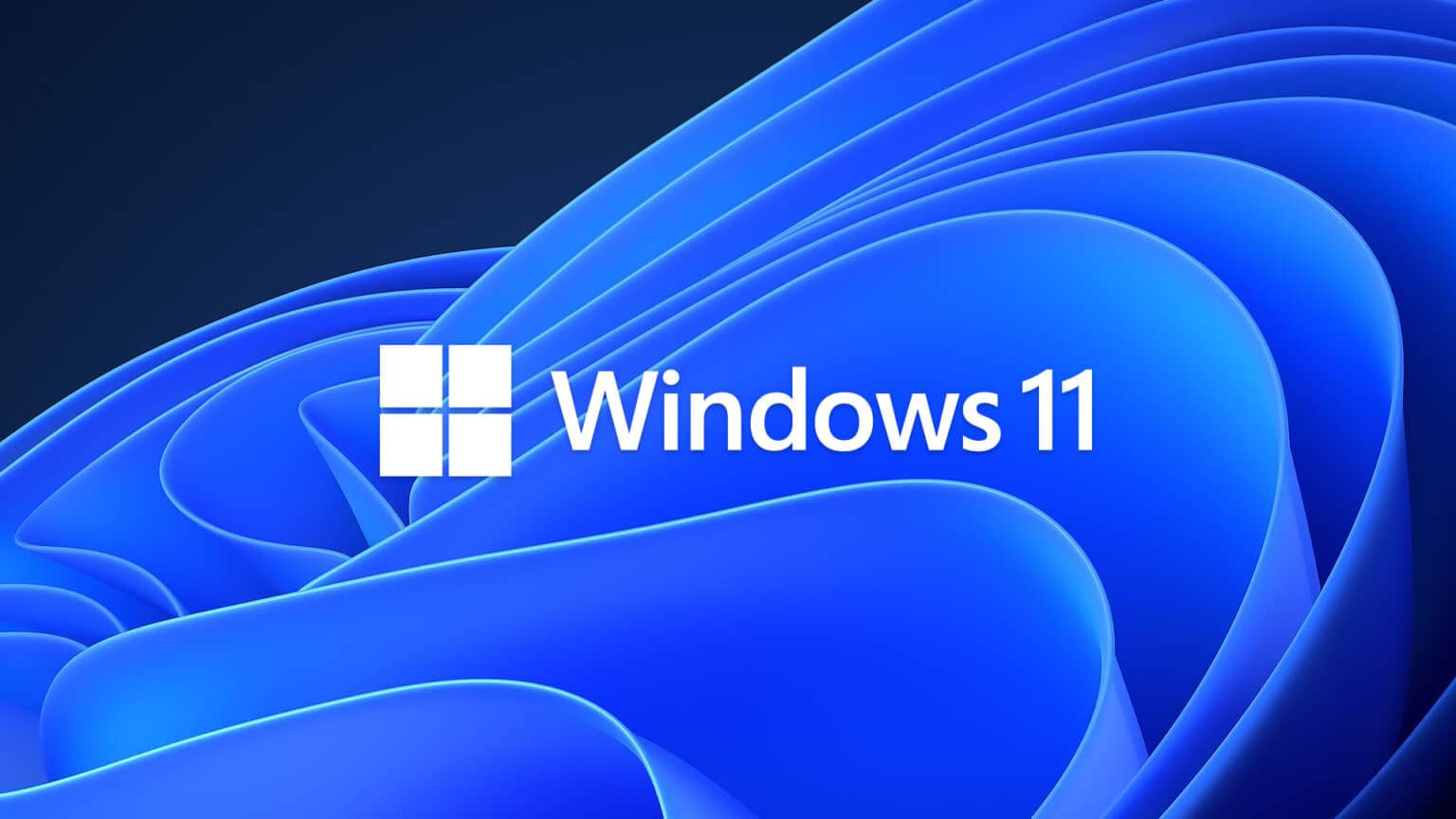 Windows 11 Logo