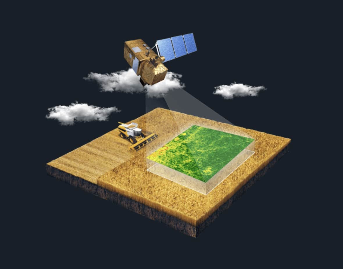 Satelite