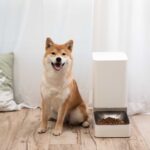 Xiaomi Smart Pet Food Feeder (Medium)