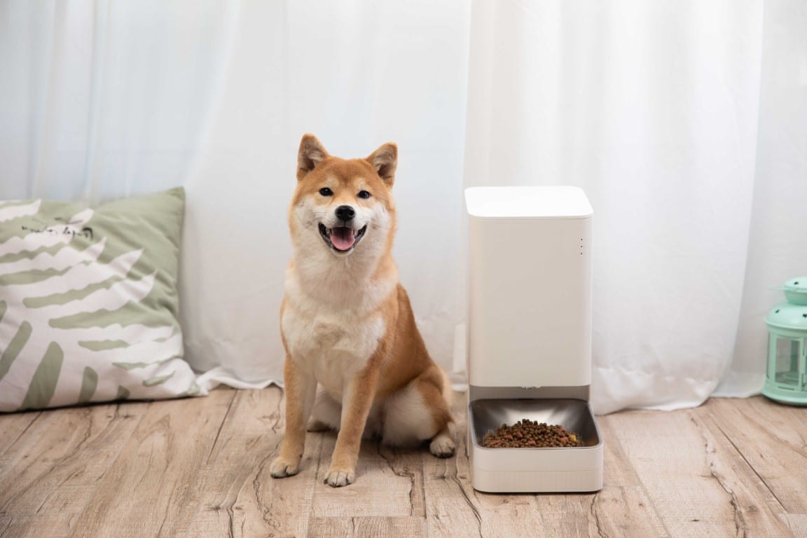 Xiaomi Smart Pet Food Feeder (Medium)