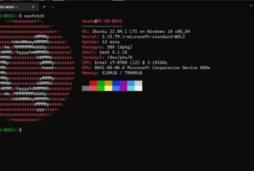 WSL_7