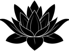 BlackLotus