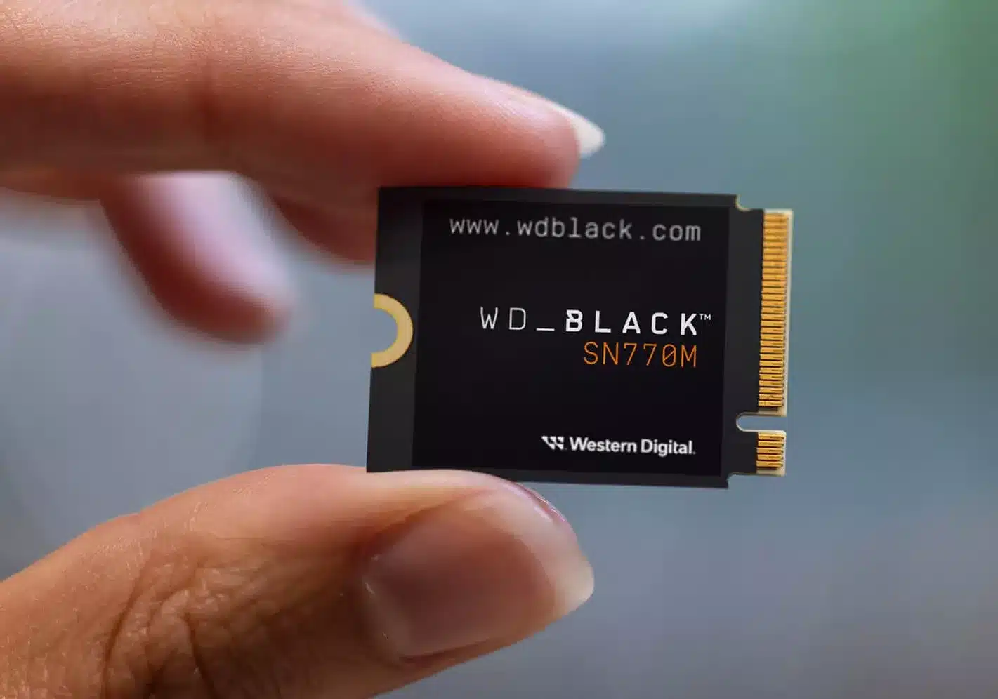 WD_Black