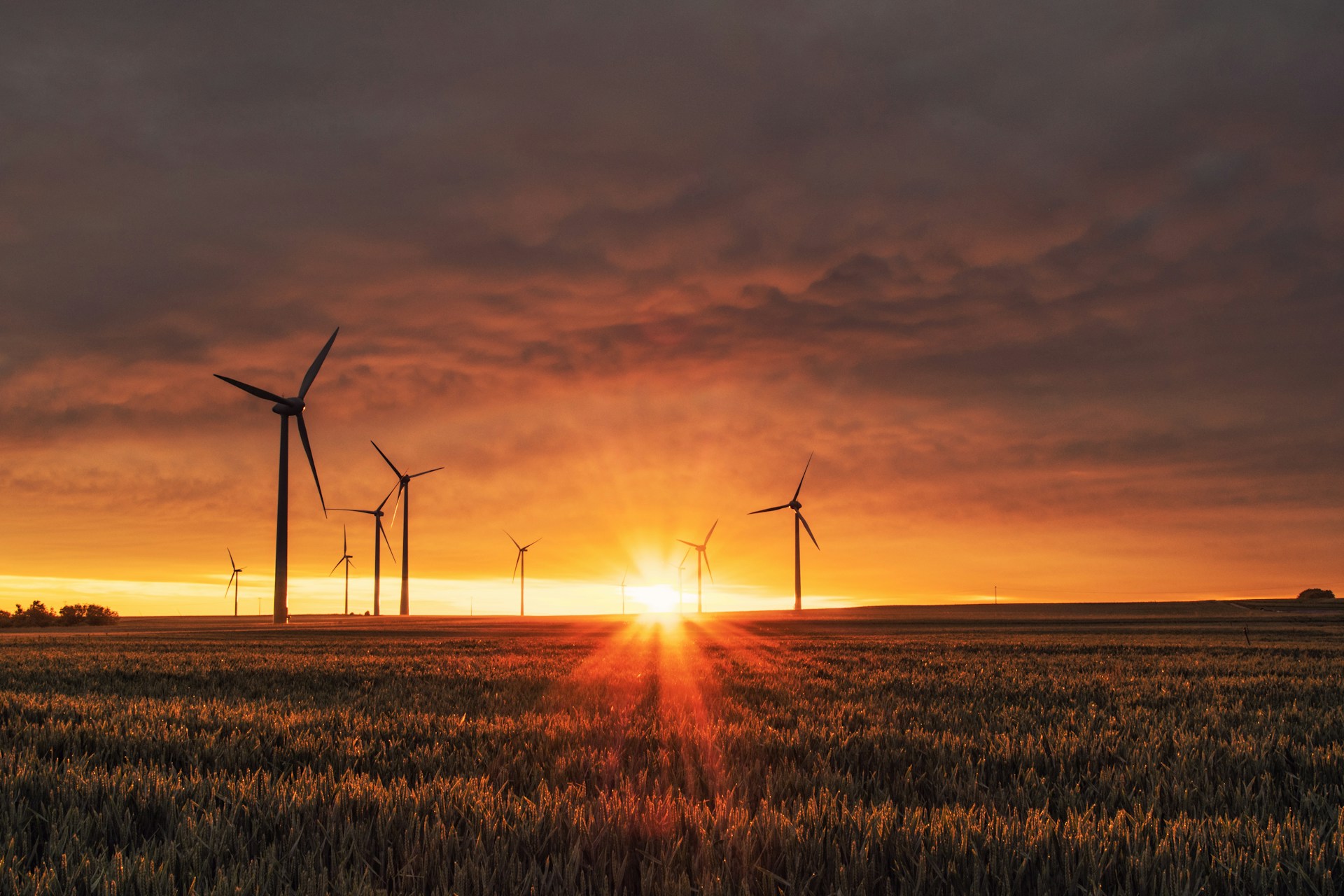 Em 2023, as renováveis forneceram 30% da energia consumida em todo o mundo