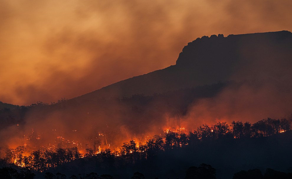 ©Matt Palmer | Floresta Fogos