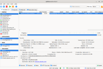 qbittorrent
