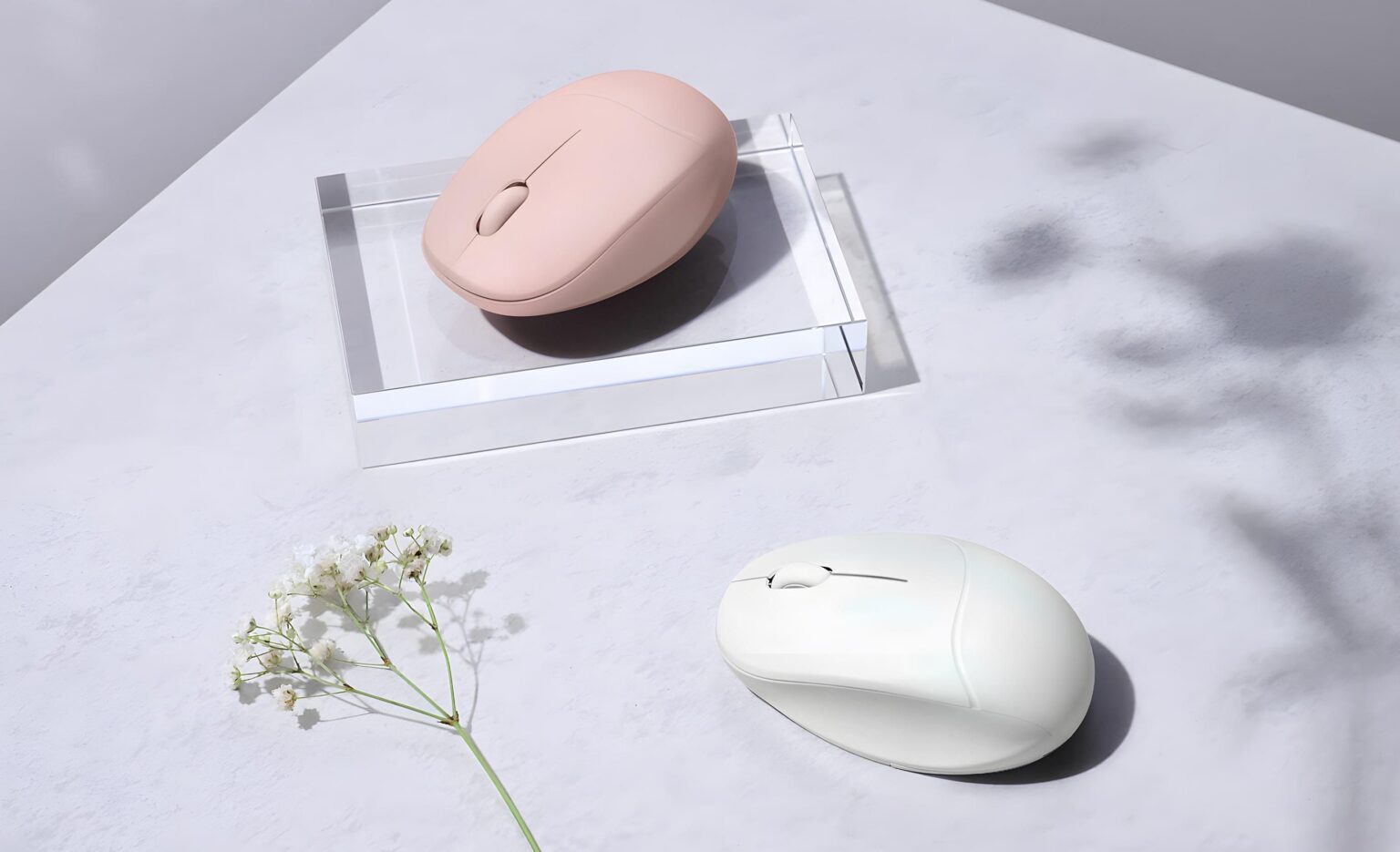 Asus MD101