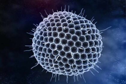 Varicella-Zoster_nfid