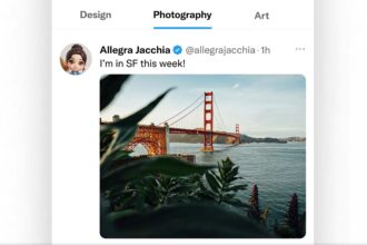 Custom Timeline Xjpg