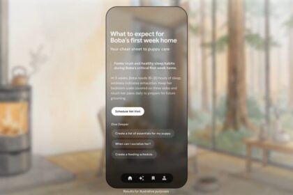 Google Dreambeans
