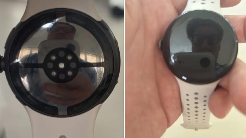 ©Randy Pitchford | Pixel Watch 5