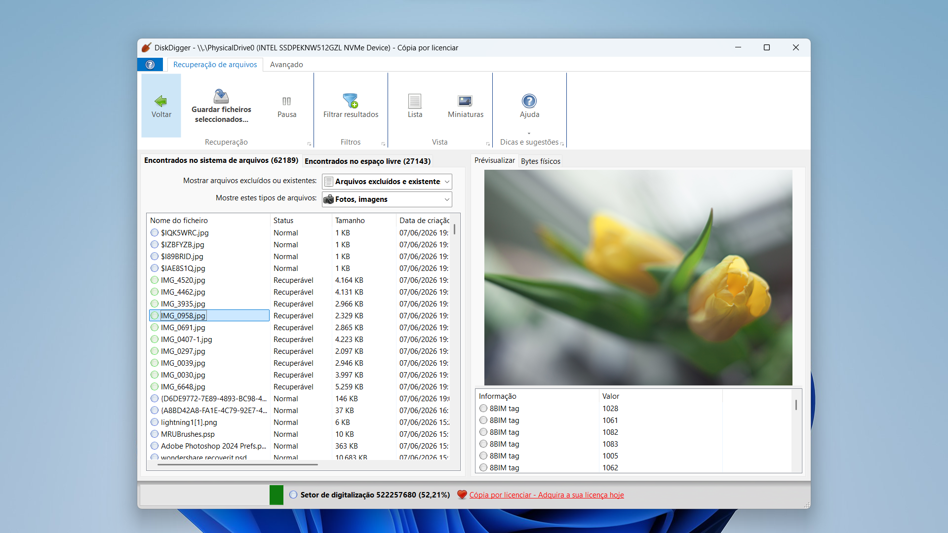 Screenshot of DiskDigger data recovery software showing a list of found files and a preview pane with a blurred yellow tulip image.