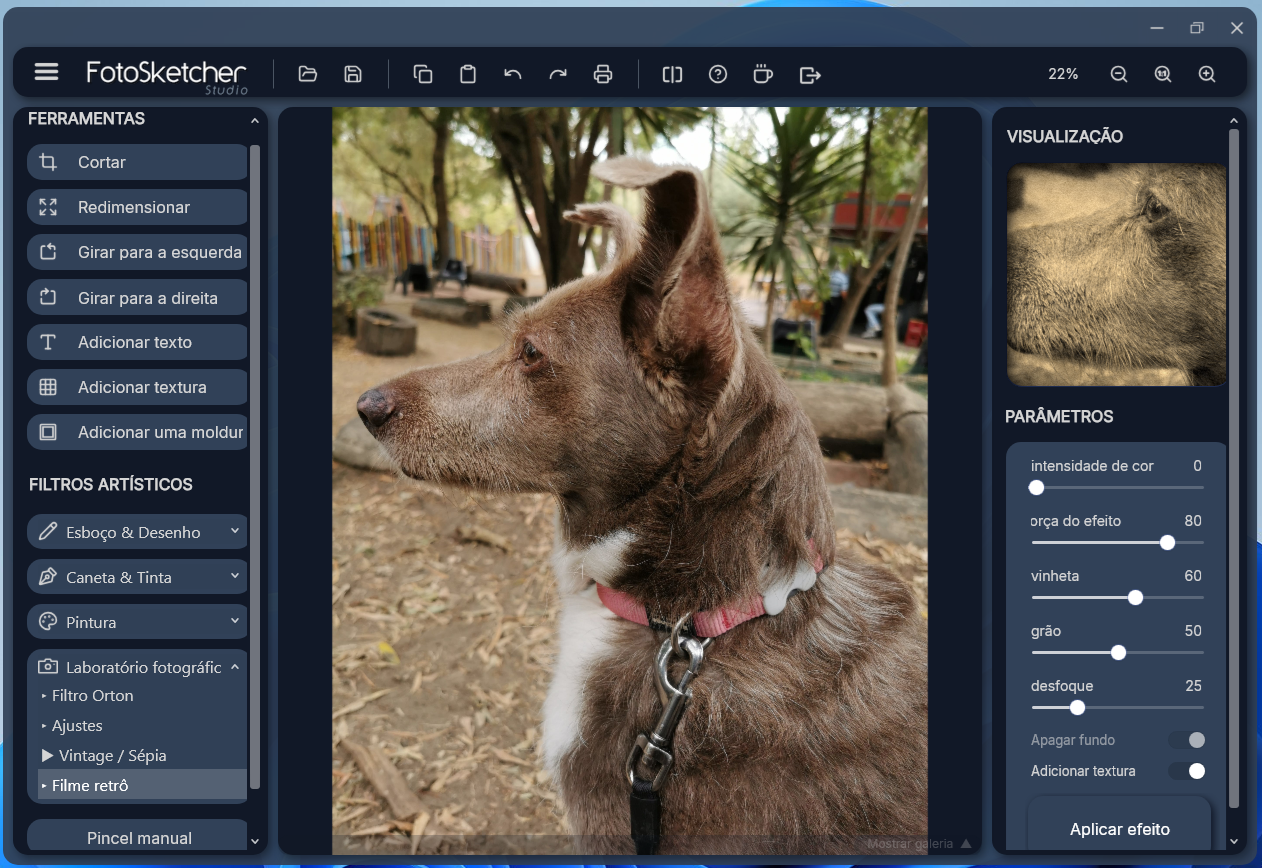 Dog with brown fur and a pink collar, photographed outdoors in a park, shown inside photo-editing software UI.
