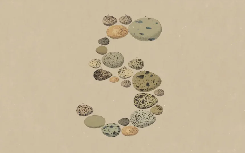 Claude_Opus_5