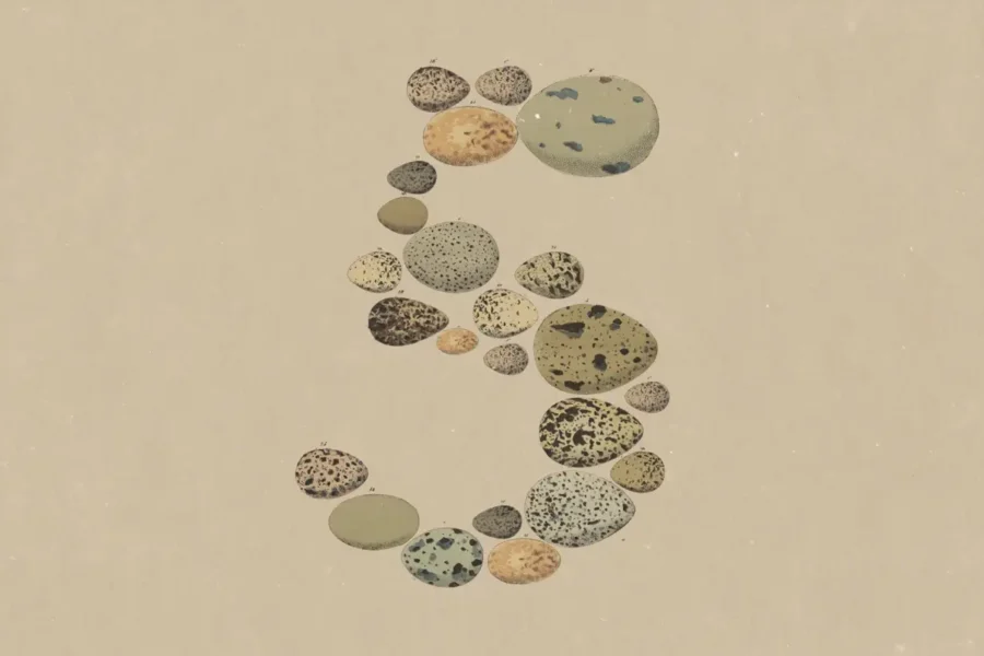 Claude_Opus_5