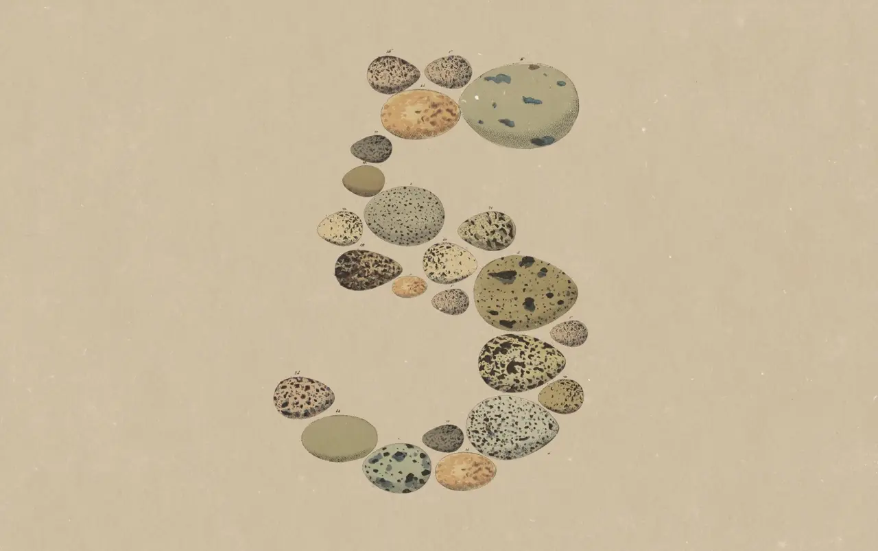 Claude_Opus_5