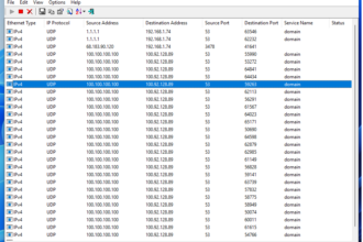 Screenshot of NetworkTrafficView showing UDP DNS traffic entries from 100.100.100.100 to 100.92.128.89 (port 53), indicating domain name service queries.