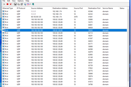 Screenshot of NetworkTrafficView showing UDP DNS traffic entries from 100.100.100.100 to 100.92.128.89 (port 53), indicating domain name service queries.