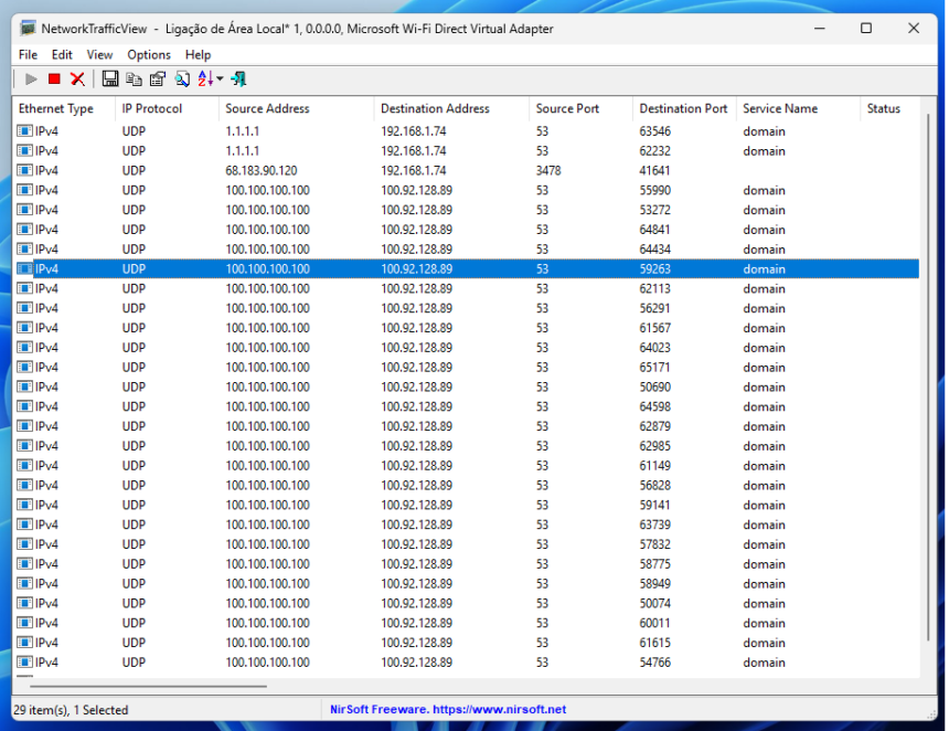Screenshot of NetworkTrafficView showing UDP DNS traffic entries from 100.100.100.100 to 100.92.128.89 (port 53), indicating domain name service queries.