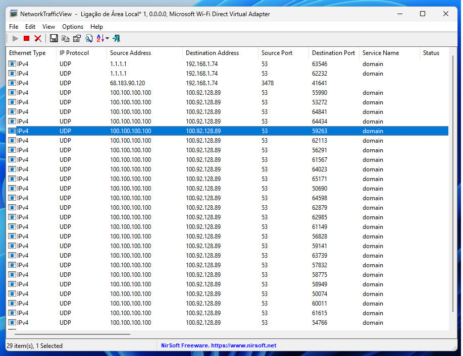 Screenshot of NetworkTrafficView showing UDP DNS traffic entries from 100.100.100.100 to 100.92.128.89 (port 53), indicating domain name service queries.