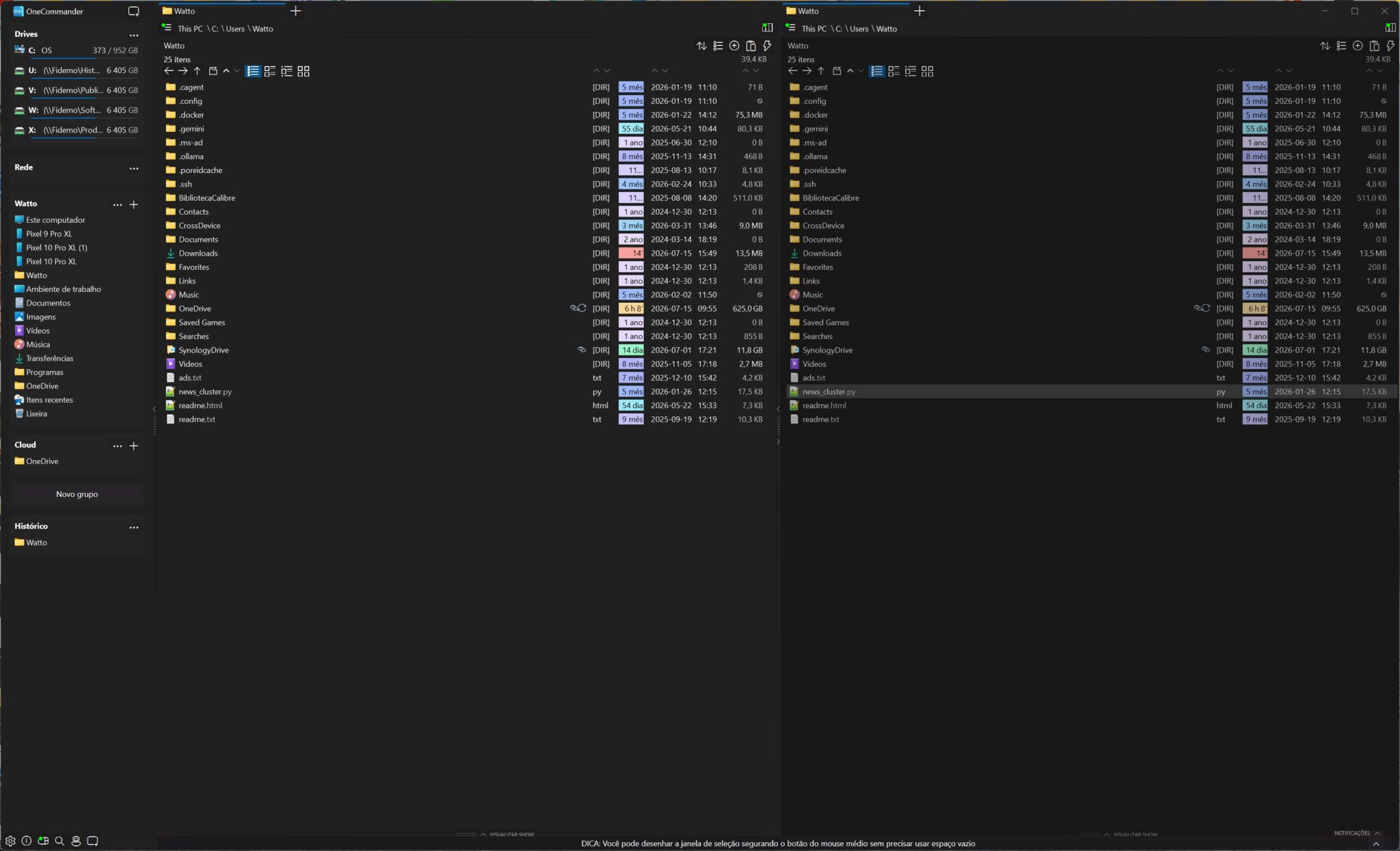 Split-screen view of two Windows Explorer panes in dark theme, showing folders under C:Watto (Watto directory).