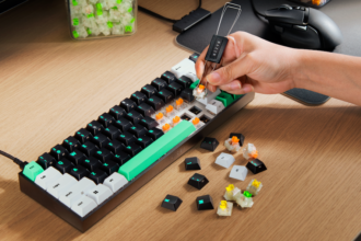 ©Razer | Reclusa
