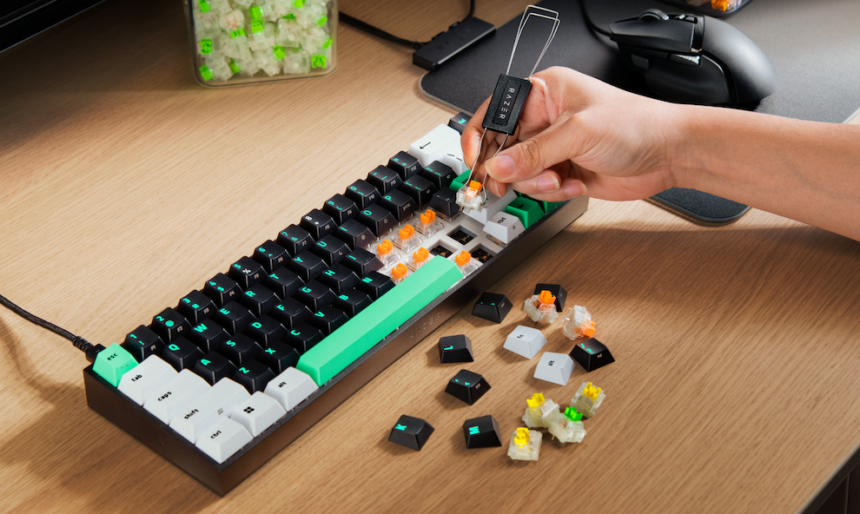 ©Razer | Reclusa