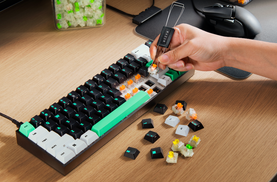 ©Razer | Reclusa
